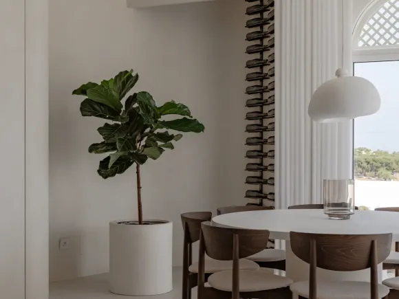 OIA Penthouse